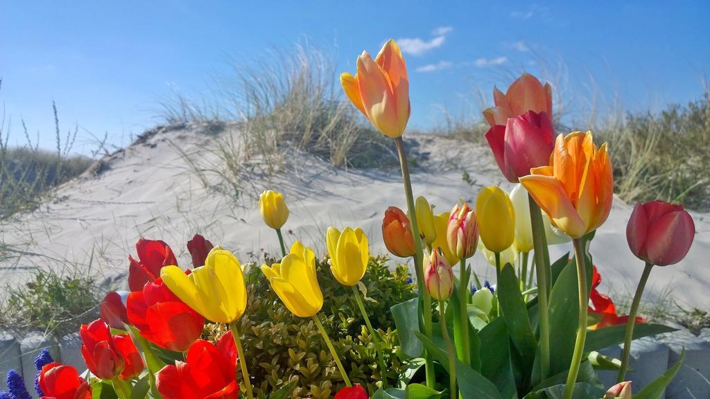 Ostsee Ferienappartements Dierhagen-Strand Klein & Fein Екстериор снимка